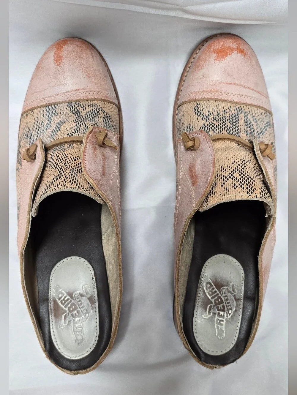 Freebird by Steven Mallena Leather Snake Print Shoes Size 11